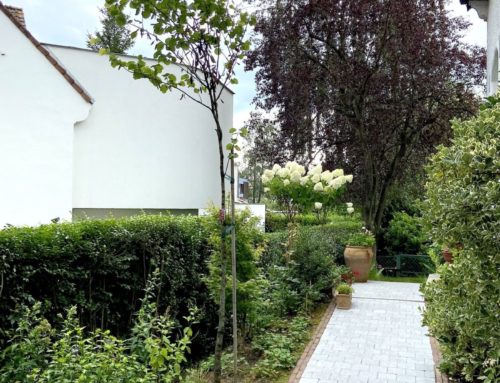 Brussel – juni 2020
